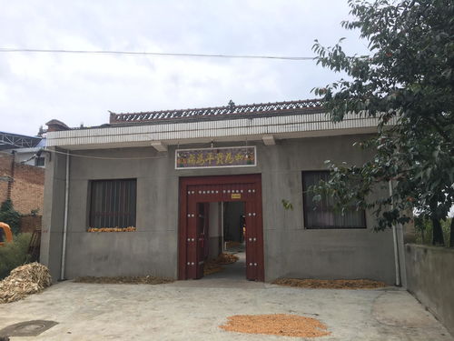 作家梁紀委家鄉(xiāng) 陜西省乾縣王村鎮(zhèn)梁家窯村玉米喜獲豐收