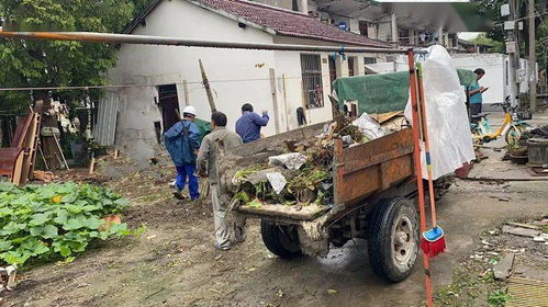 美麗系列創(chuàng)建丨嘉定新城 馬陸鎮(zhèn) 這個村用籬笆打造美麗 節(jié) 點