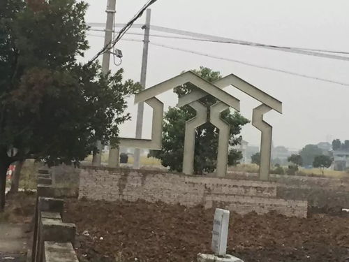 變化真的很大 不信你看 這么美的鄉村就在老余杭