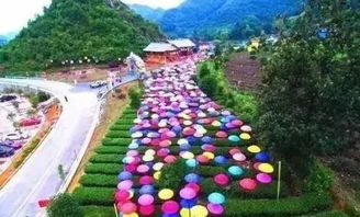 x 促銷促銷 寧波舟山三日特價399元 普陀之星游輪出海游 四星設施慈航 影秀酒店 高科技5d 大型甬秀演藝秀