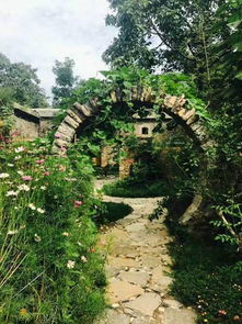 春光燦爛的日子 到鞏義邂逅一段詩情畫意 組圖