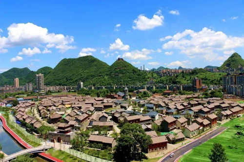 金色妥樂 粉黛花海 游世界古銀杏之鄉,秘境彝族部落,豪嘆國際五星喜來登 0加點0購物