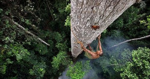世界最 神秘 的部落,常年住在幾十米高的大樹上,回家全靠爬