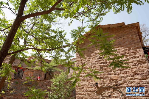 600年古村落煥發新活力