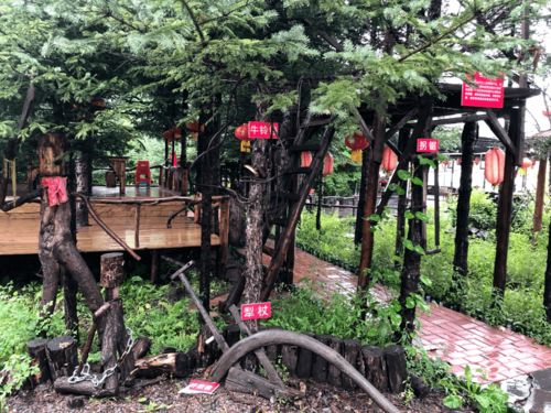 紀實情系脫貧攻堅,青春不負遠航 吉林省靖安村調研