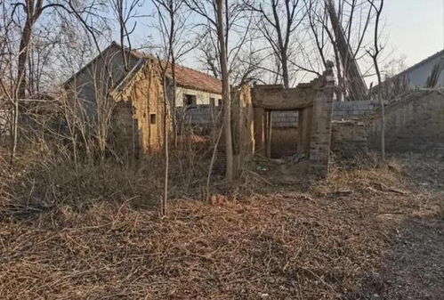 山西村鄰因宅基地互殺,致五死 兩家系同族,案發前已爭吵三天