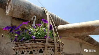 2018春節 到中國大陸最南端徐聞,聽海的故事