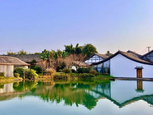 示范 這里是水美鄉村