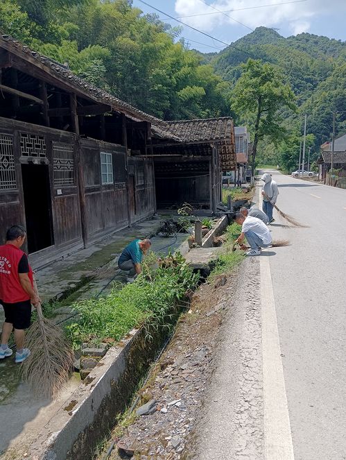 大垅村黨支部開展系列慶祝 七一 主題黨日活動