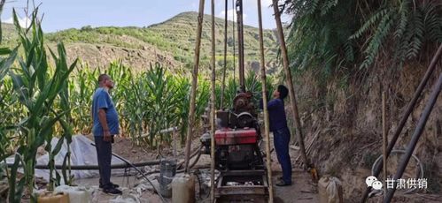 防汛抗旱救災 供銷社一直在行動