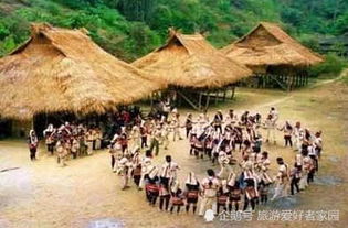 100多人的原始部落,至今不與外人通婚,強制娶妻三五個是常態