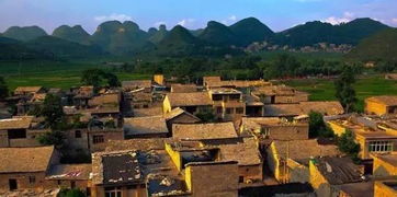 別人都忙著在旅游區掙大錢,他卻死守一條街