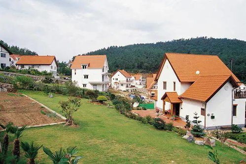 央美教授改造 壁畫村 惹爭議 畫得太抽象,村民看不懂 完工后村子收入卻翻倍