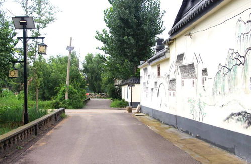 我家街巷最美 系列展示 汶上縣郭樓鎮(zhèn)古城村