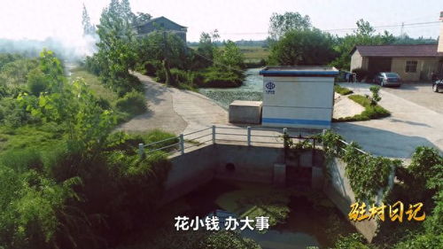 鼎城區(qū)中河口鎮(zhèn)北洲村 做好水系治理 助力產(chǎn)業(yè)發(fā)展