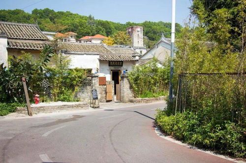 藝術村落系列節(jié)目 我在這兒的朋友 探訪鰲湖藝術村