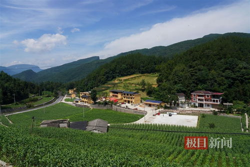 恩施帶水河蝶變記 小流域綜合治理,繪富村山居圖