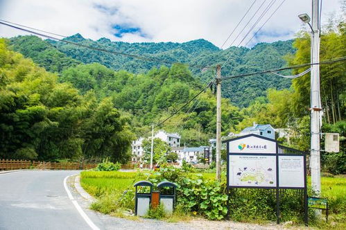 飲水尋源 好地方 ,碧山綠水青螄甜