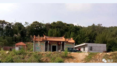 陂洋全部鄉村全景航拍圖