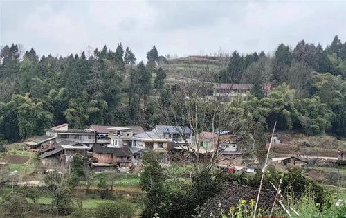 重慶老人火化9年后 死而復生 ,家屬 當年被燒成灰的是誰