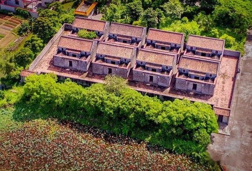 古勞這條村入選 廣東美麗僑村 快來pick它