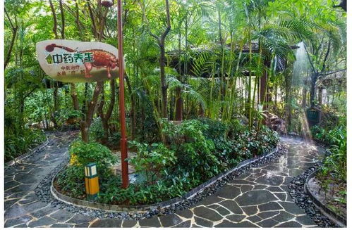 送大禮 七星級搶購 僅 699元 套 入住增城健康山谷溫泉 別墅房 無限次露天養生溫泉 雨林部落 酒店豐盛自助早餐 大豐門景區