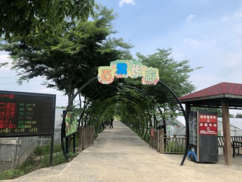 賞美村,觀美宿,嘗美食,覓美物,購美衣 這些一日游鄉村振興巾幗線路你值得擁有 專線