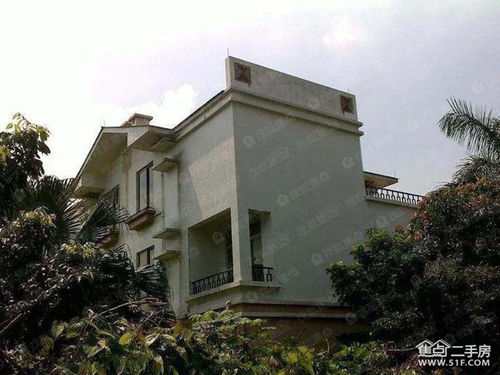 谷圍新村圖片 樣板間 裝修效果圖