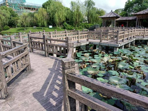 美麗和自信,就在這些景區村