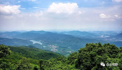 白云版的 涯系客家人 , 深藏帽峰山 門開萬里攏翠,亞婆山歌沉醉