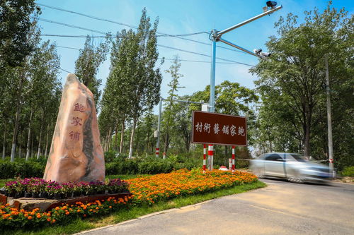 系列報道 北京鄉村振興故事 三 永定河畔的藝術村 大興區鮑家鋪村