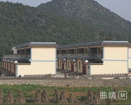 昆鋼公司 訂單上門收購農(nóng)副產(chǎn)品 長短期產(chǎn)業(yè)結(jié)合保脫貧