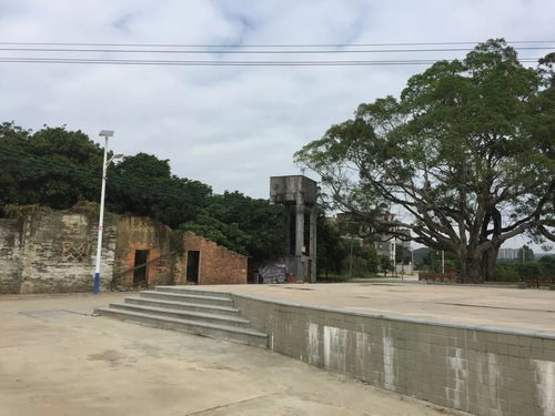 青春大學(xué)習(xí) 奮斗新時(shí)代丨國貿(mào)系尋跡村坊調(diào)研小組走訪鳳院村