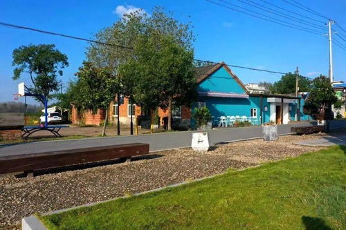 一個(gè)普通的鄉(xiāng)村改造成藝術(shù)家村一一崔崗嬗變記