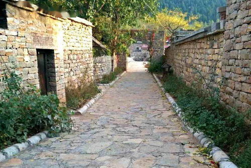 我家街巷最美 系列展示 泰安市肥城市孫伯鎮五埠村