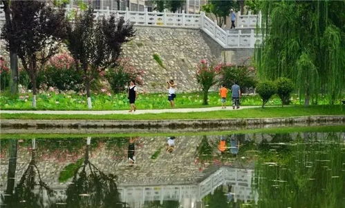 這個夏天,我想和你一起去長安