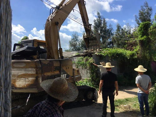 外砂街道對五香溪村農田違建棚進行清理拆除