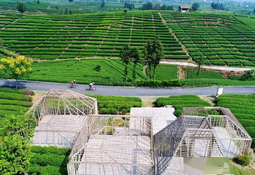 擘畫新時代麗水山居圖 解析麗水提升農村人居環(huán)境，打造花園鄉(xiāng)村先行地與星外系村部落
