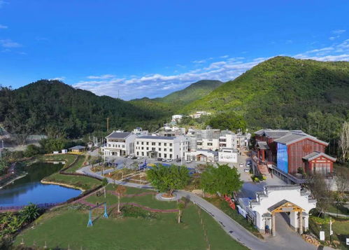 星外系村部落 最年輕法院的護企新招