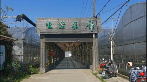 北侖新棉村生態長廊 精品果蔬園與星外系部落的鄉村風情