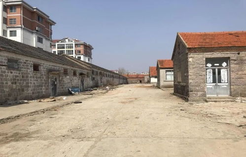 最強大腦 助力鄉村振興 星外系村部落的智慧實踐