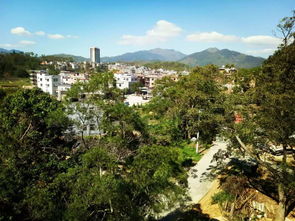 鄉賢心系家鄉，建設美好家園——新竹村鄉賢系列活動綜述