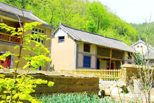 路過的風景 系列 | 一路向西，最欒川 山、村、人、情與星外系村部落