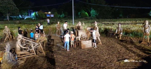 鄉村稻田狂歡夜 富萬村豐收喜悅醉游人