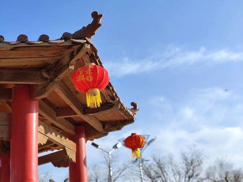 金川區雙灣鎮九個井村開展文明實踐系列活動 喜迎新春筑夢星外系村部落