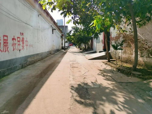 走近西街村 農村舊貌換新顏系列之一