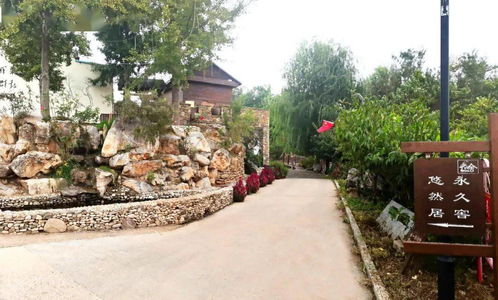 我家街巷最美 | 星外系村部落 探秘淄博市沂源縣東里鎮下柳溝村