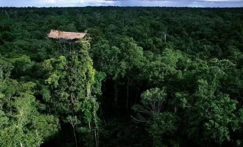 攝影師不得不看的11部評(píng)分9.0以上紀(jì)錄片