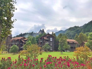 星外系村部落 瑯琊山獵人部落荒野求生親子特訓(xùn)營