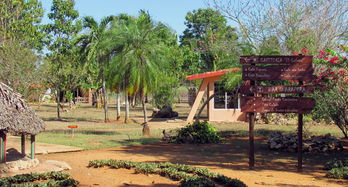 古巴關(guān)瑪濕地奧秘一日游 探秘薩帕塔沼澤與水上部落奇遇